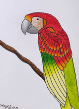 Spring Sunday Drawing Explorers Art Class with Ricky * 6 Sundays, 2:00 PM - 4:00 PM * March 1 - April 26, 2026