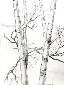 March Break Family Art Night: Realistic Birch Tree Drawing * Monday March 10 2025 5:00 PM - 7:00 PM * (Ages 6+ and Adults)