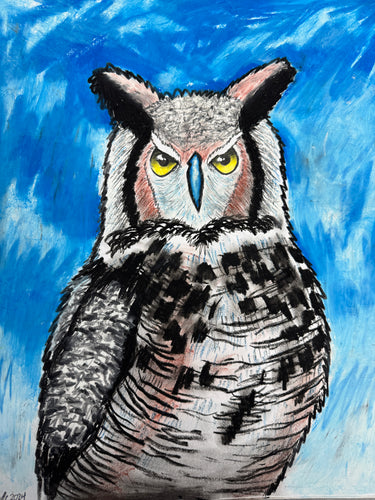 Oil Pastel Great Horned Owl Summer Art Class * Tuesday August 5th 2025 *AM* 10:00 AM - 12:00 PM * Ages 6-13